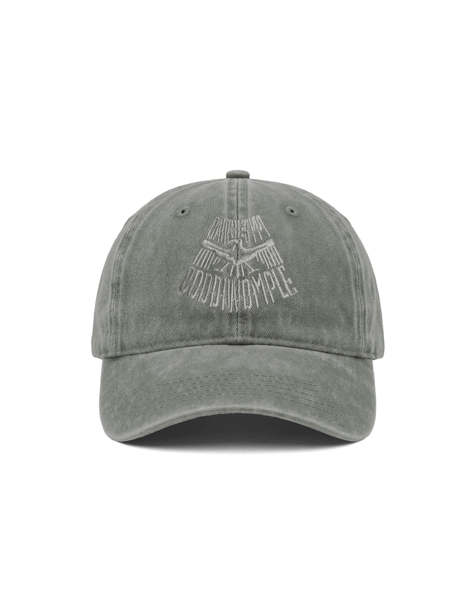 BOOTCAMP WASHED SILVER CAP - CODDIWOMPLE
