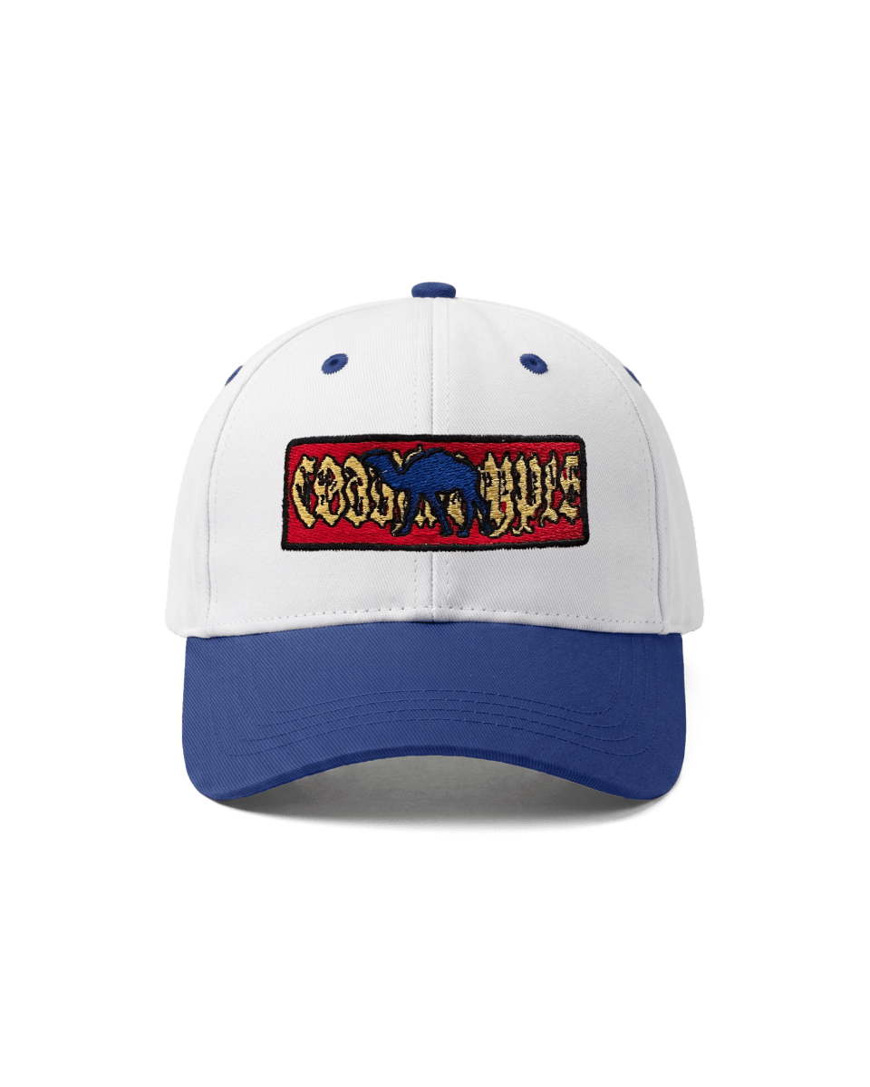 CAMEL 2-TONE BLUE/WHITE CAP - CODDIWOMPLE