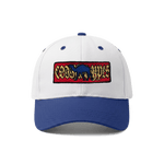 CAMEL 2-TONE BLUE/WHITE CAP - CODDIWOMPLE