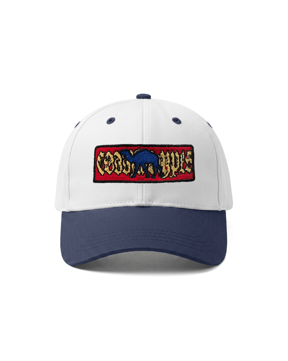 CAMEL 2-TONE NAVY/WHITE CAP - CODDIWOMPLE